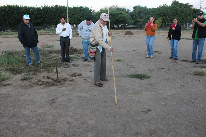 pajaritopetatera