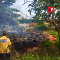 PC Colima atiende incendio en Lib Ejército Mexicano - AFmedios