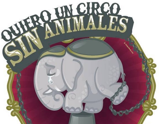 Conferencia sobre circo sin animales, el 31 de enero en el Congreso local:  Red Ocelote | AFmedios .- Agencia de Noticias