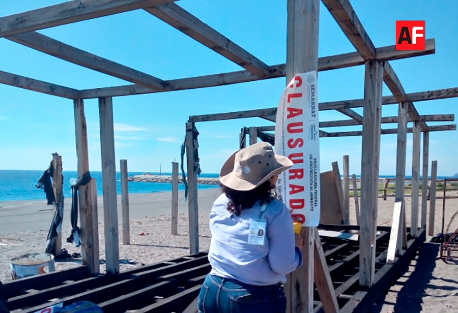 Profepa Clausuró De Manera Total Obras Y Actividades En Playa El Edén En Manzanillo Afmedios 9581