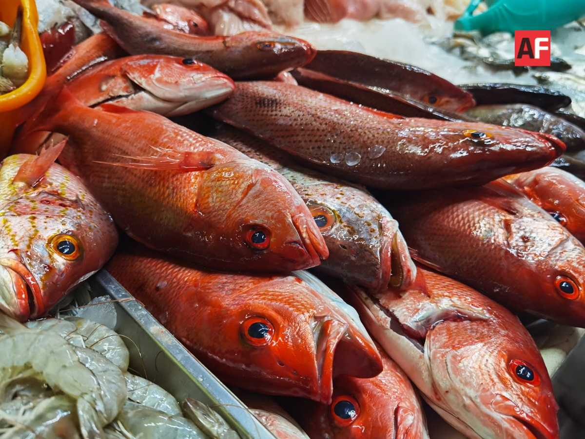 Pescados y mariscos, productos de temporada; ¿cuál prefieres tú? | AFmedios  .- Agencia de Noticias